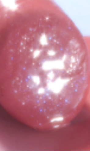 ベビー ティアドロップ ポニー 2025年SAKURAカラー 001_l.jpg
